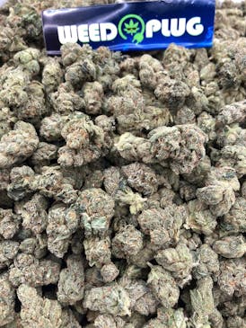 14G GODFATHER OG SMALLS