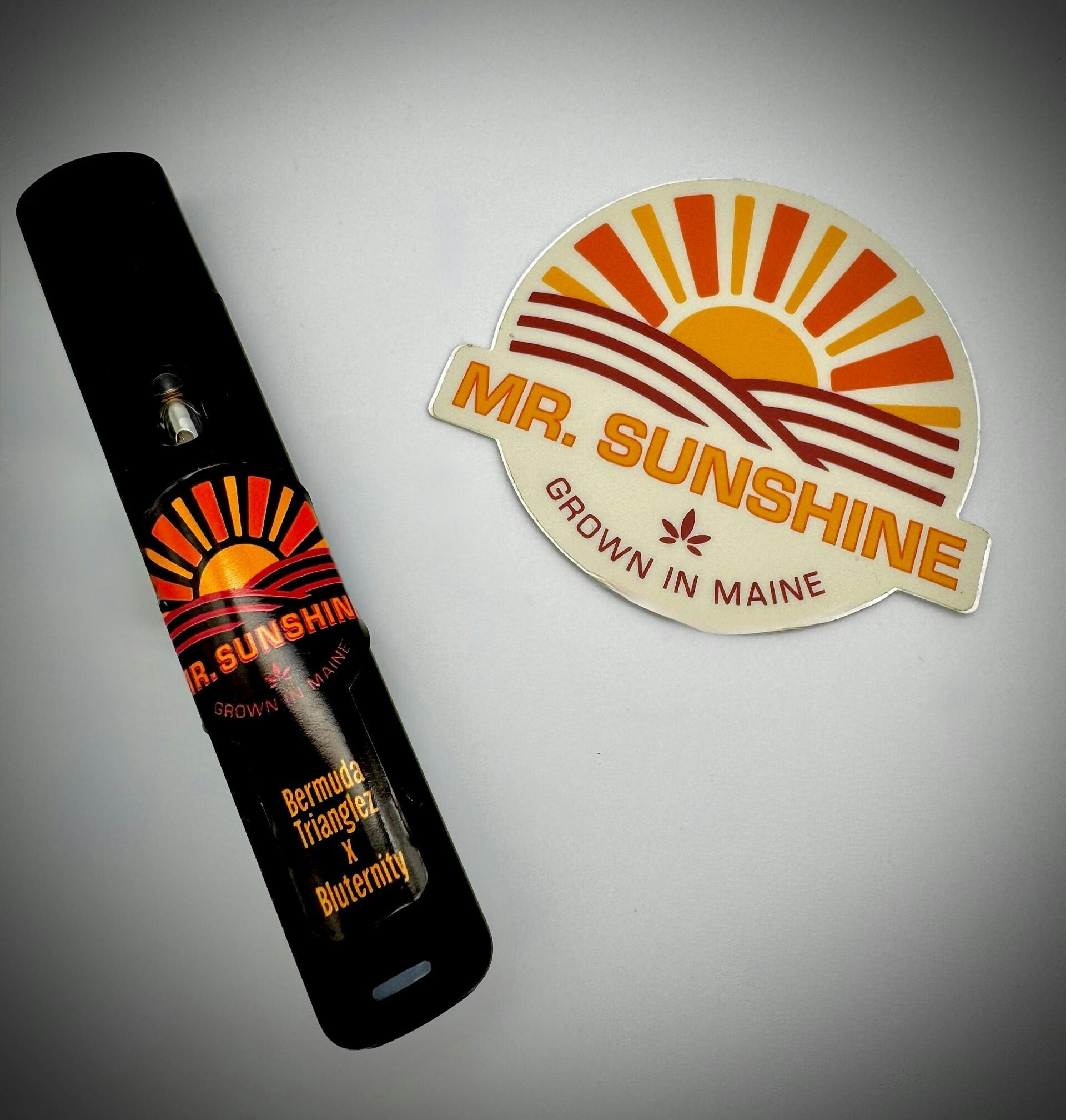 Bermuda Trianglez x Blueternity | Live Resin 1g Disposable Vape