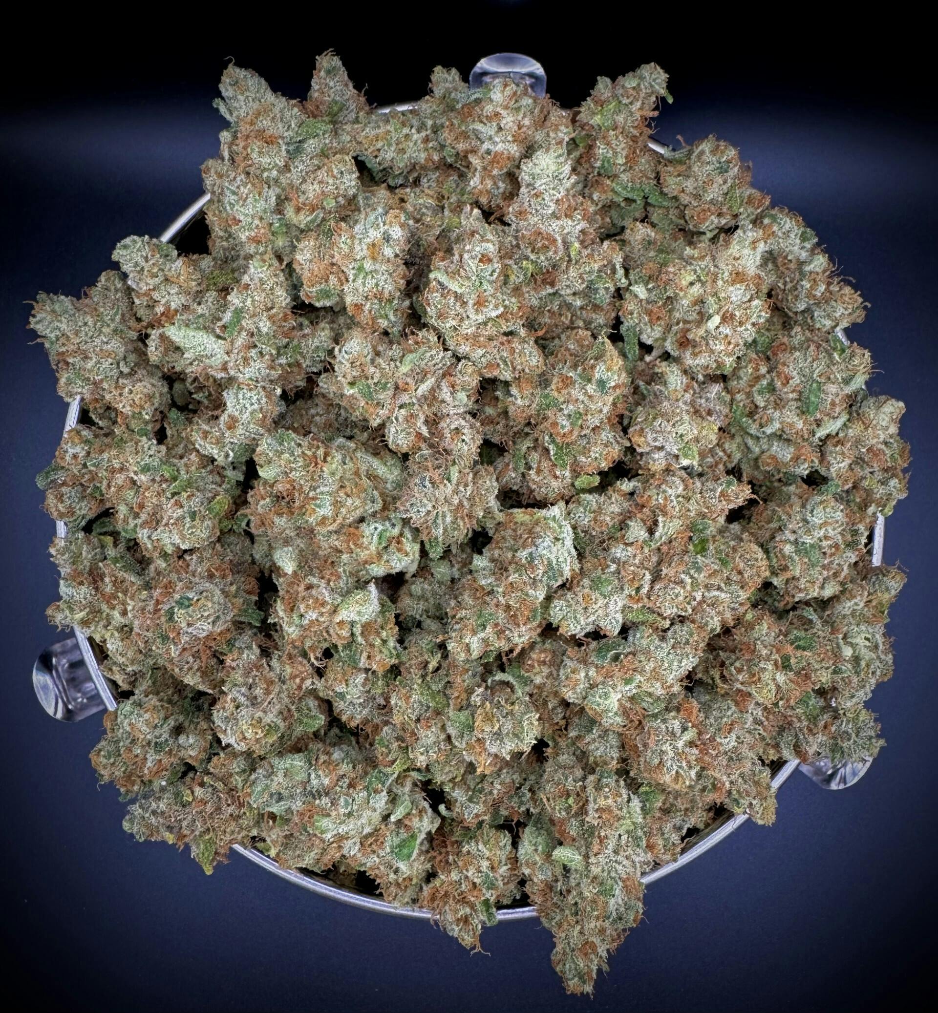 Maddfruit | Sativa | Flower