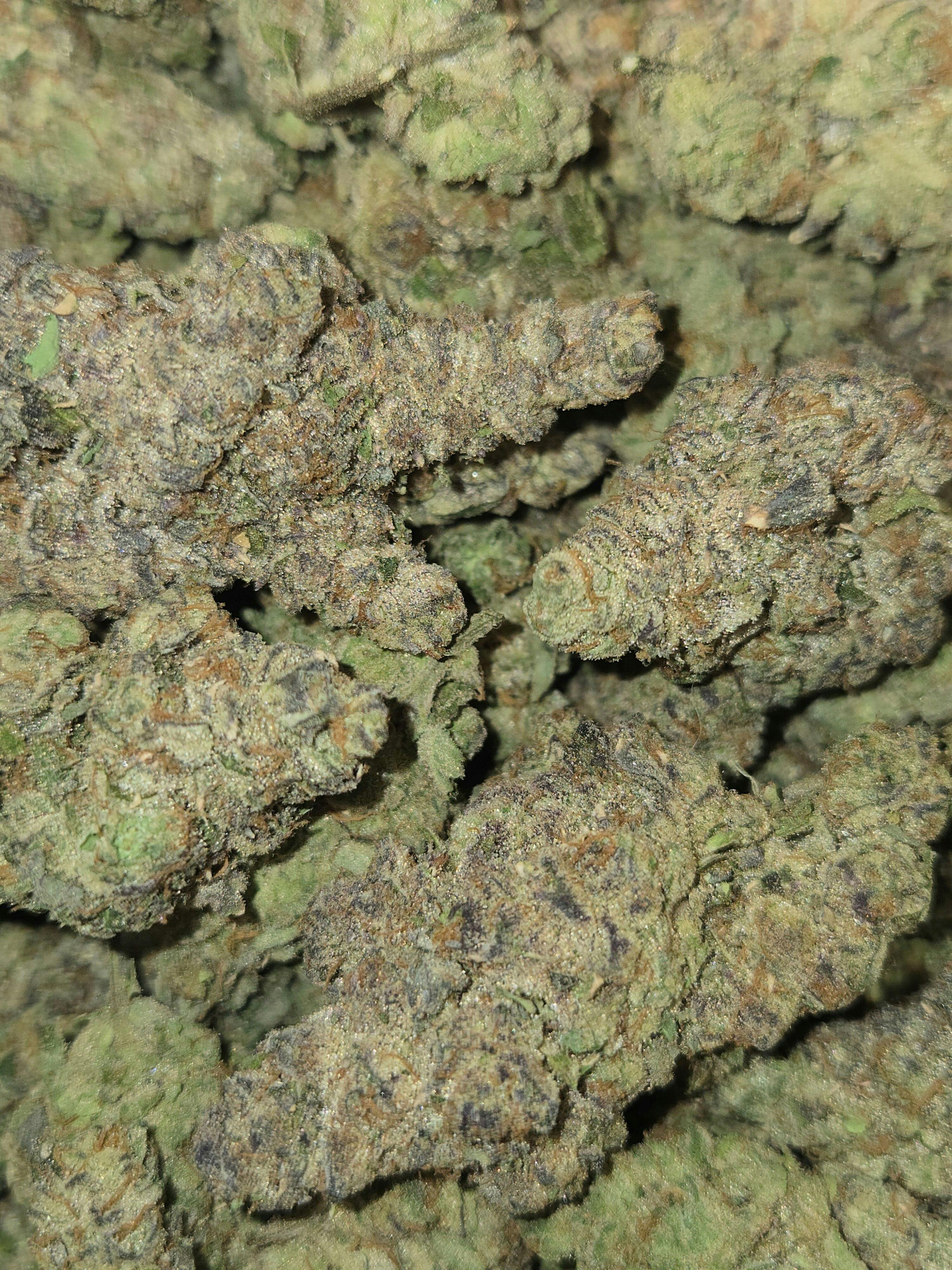 Sherb Cocktail #7 | Indica | Flower