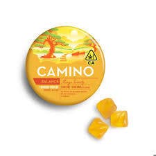 Camino Gummies: Mango Serenity :1