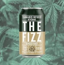 THE FIZZ GINGER ROOT 100 MG