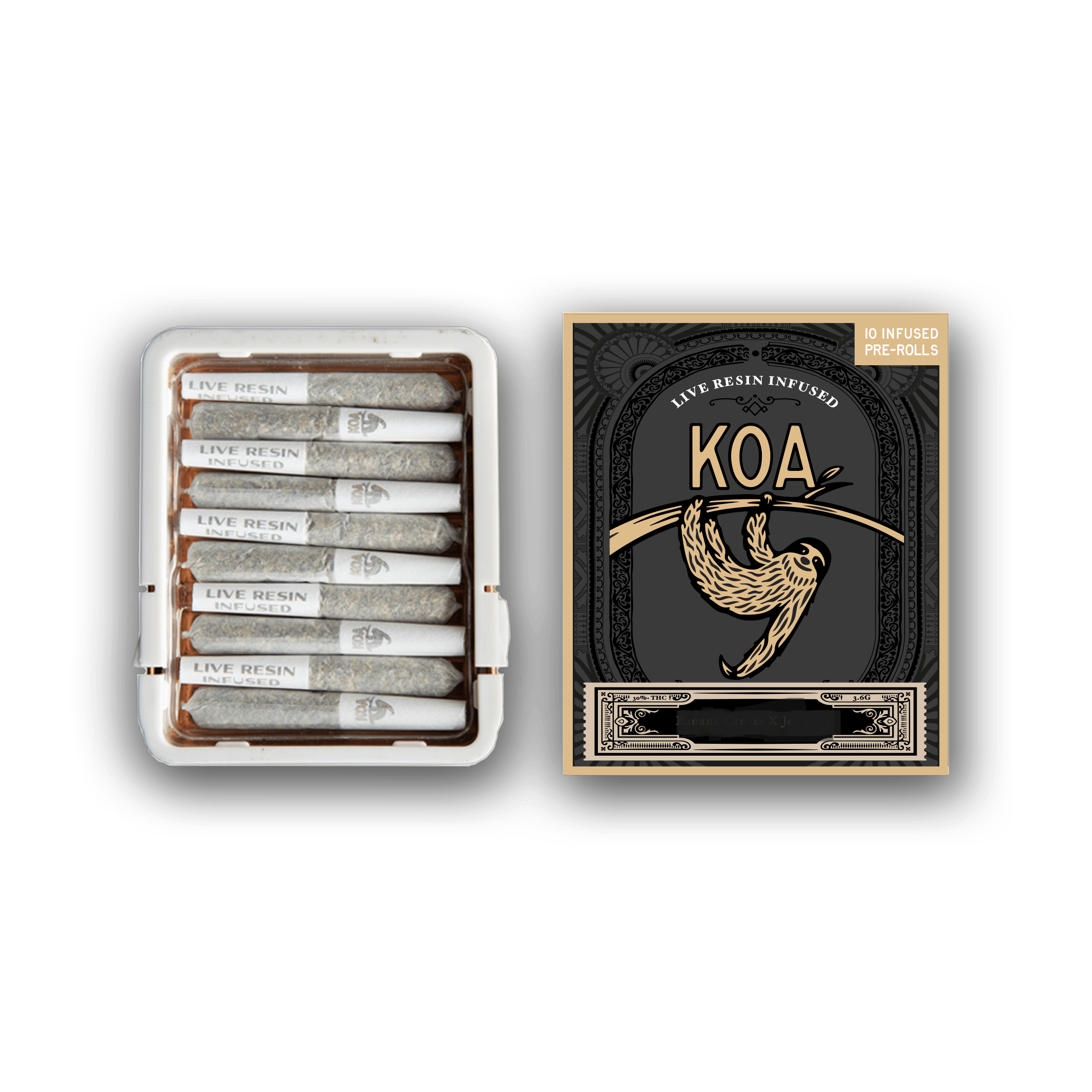 KOA GDP X — Northern Lights