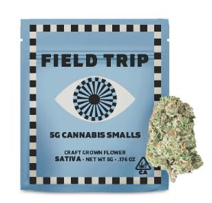 Field Trip Gelonade Strain