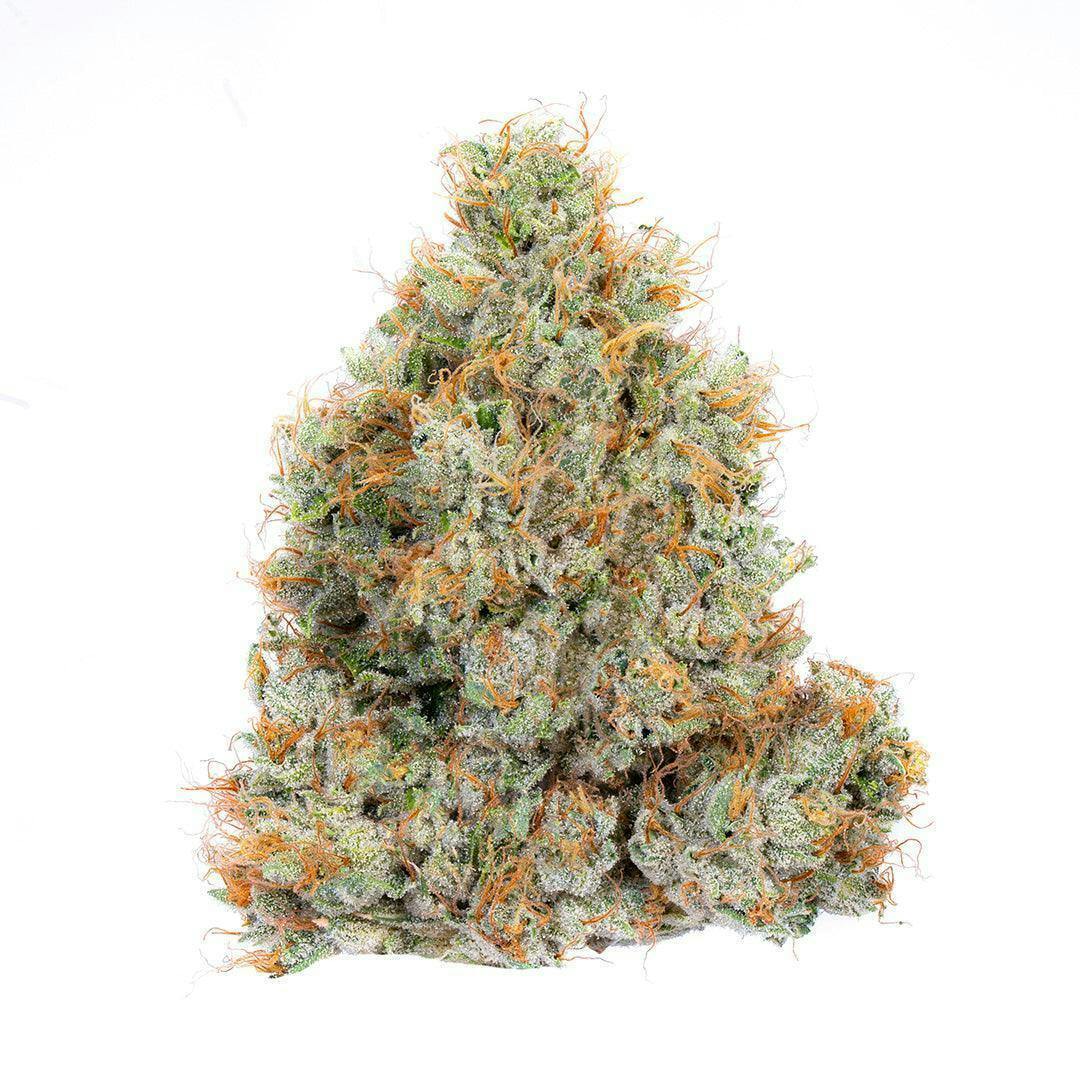 Luci Shade Tree Flower Strain 3.5g
