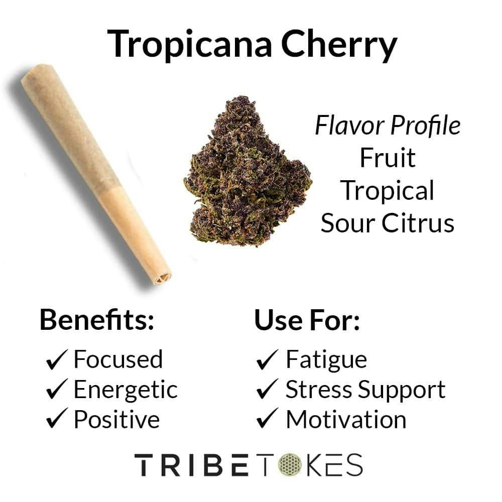 Clarkies: Tropicana Cherry Strain