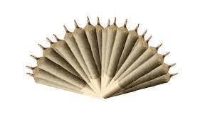 INDICA 420