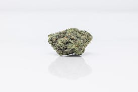 La Bomba | Flower