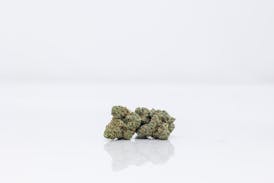 BOLD | Grand Daddy Purple | Flower