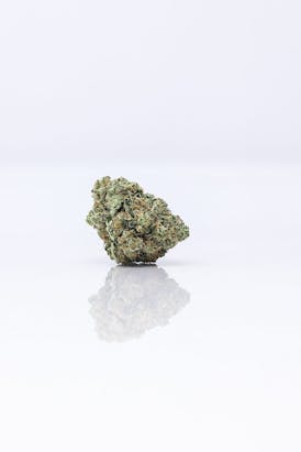 BOLD | Sour Diesel | Flower