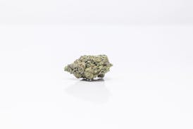 Corey's Rainbow Bridge | Flower
