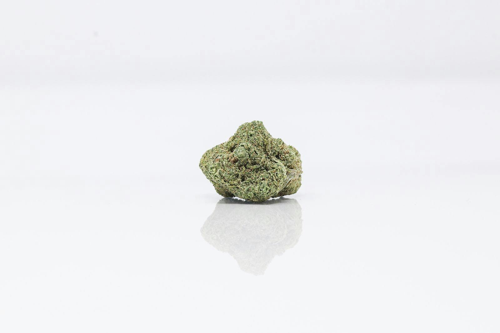Glass Slipper | Flower