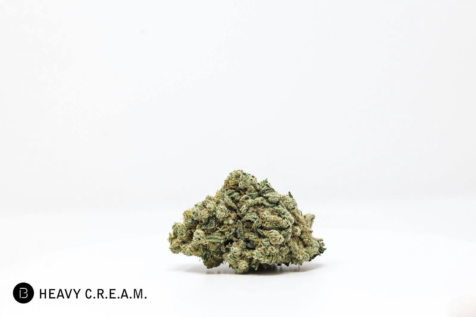 Heavy Cream | Flower