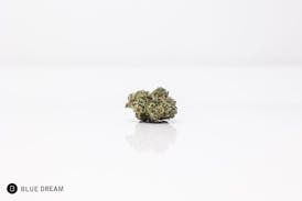 Blue Dream | Flower