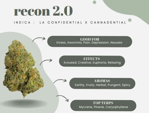 Recon 2.0 | Popcorn