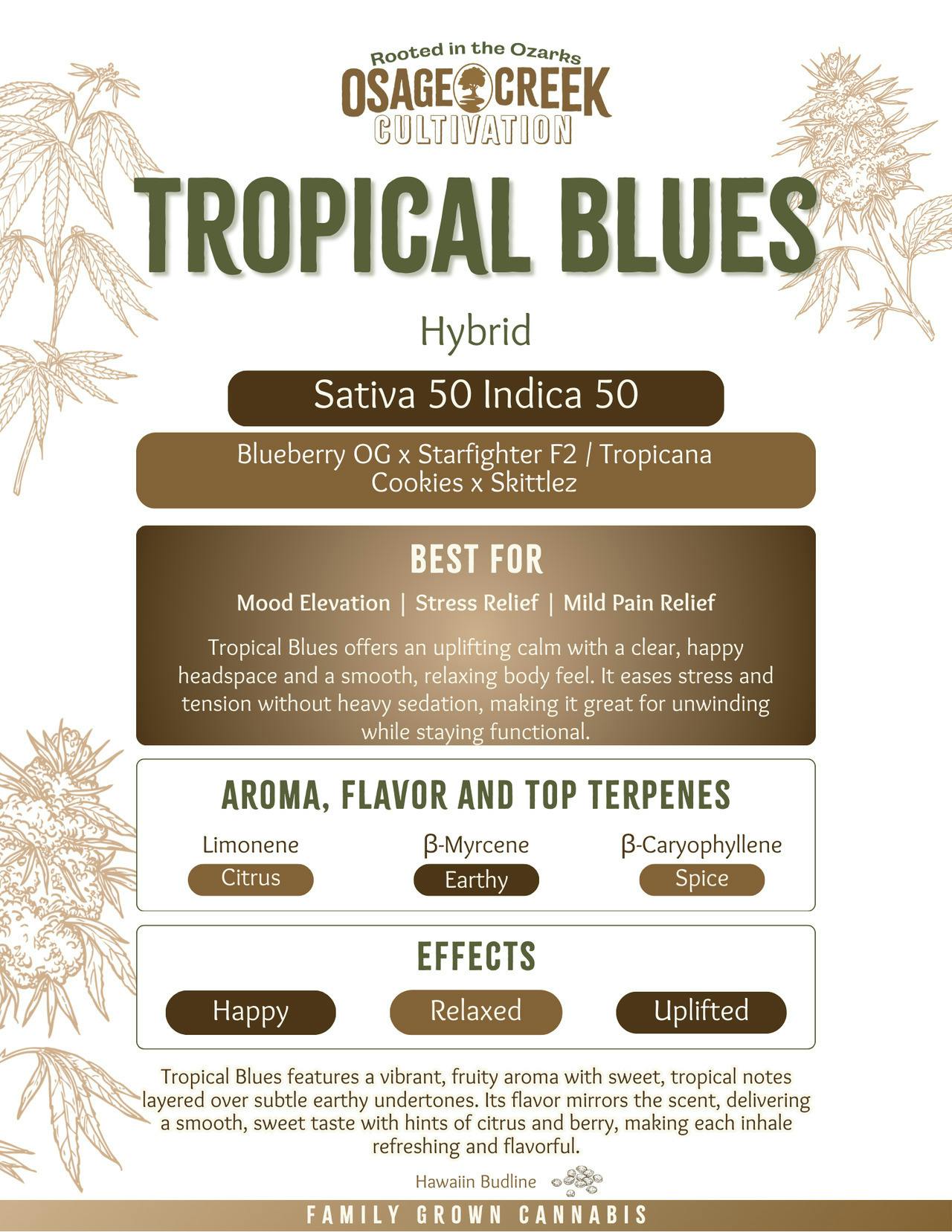 Tropical Blues | Flower