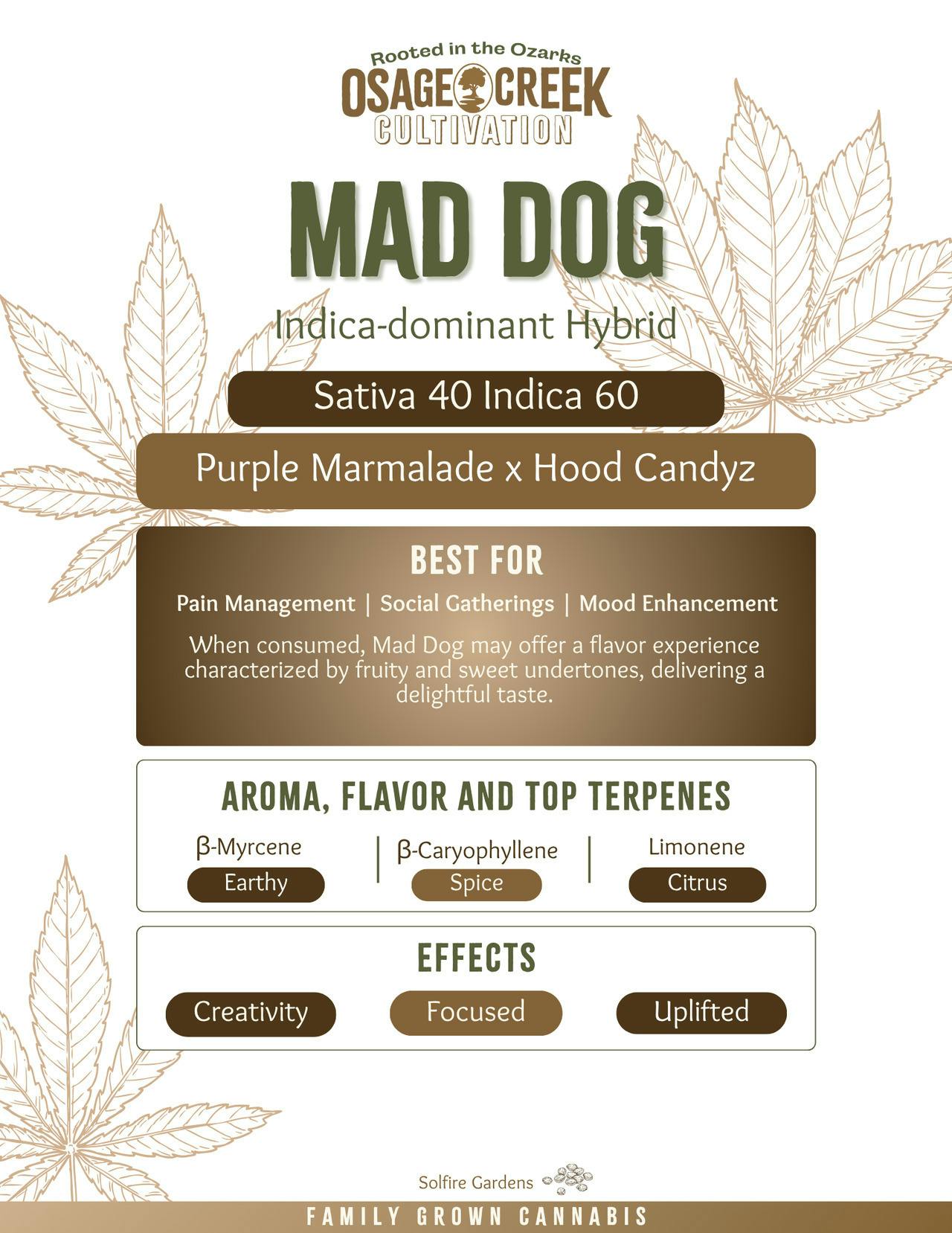 Mad Dog | Flower