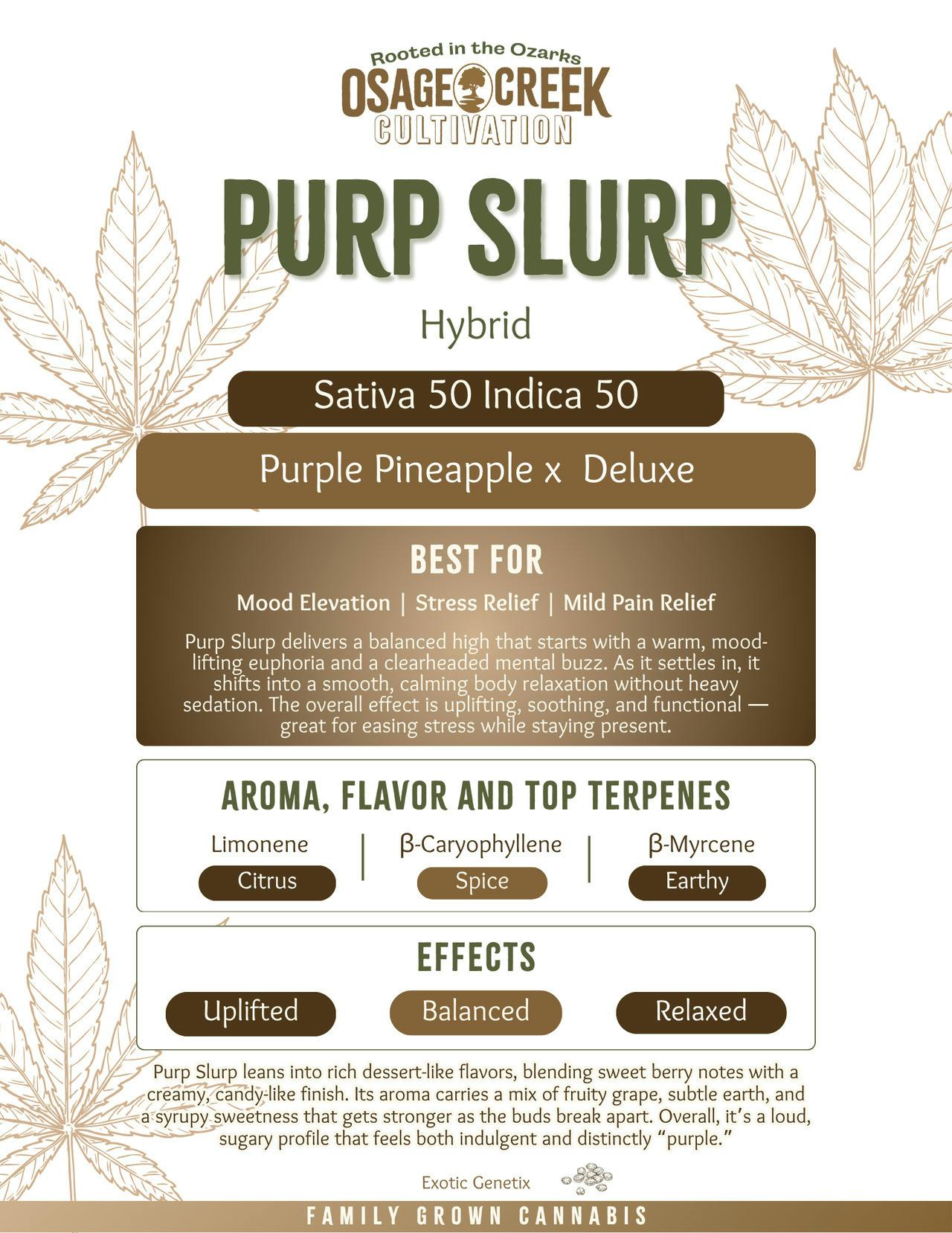 Purp Slurp | Flower
