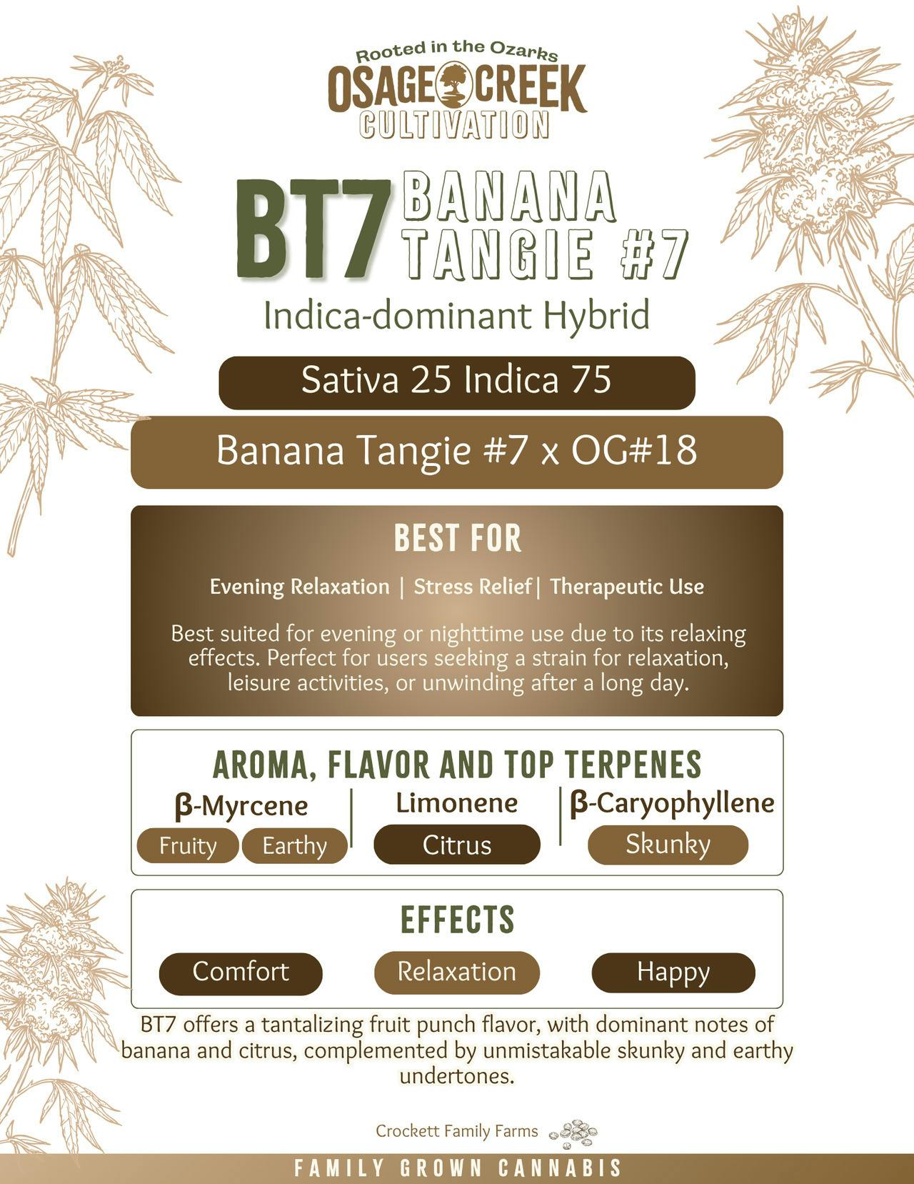 BT7 | Flower