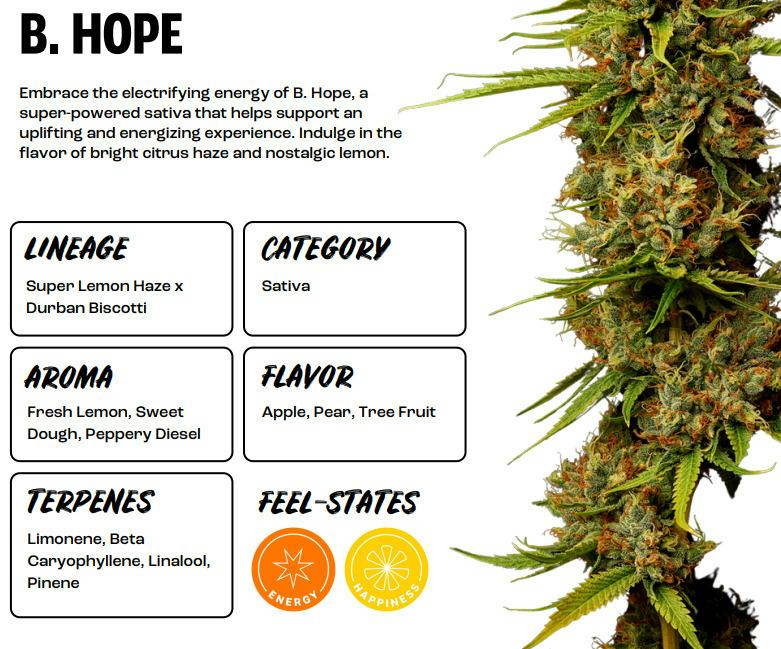 B Hope | Popcorn