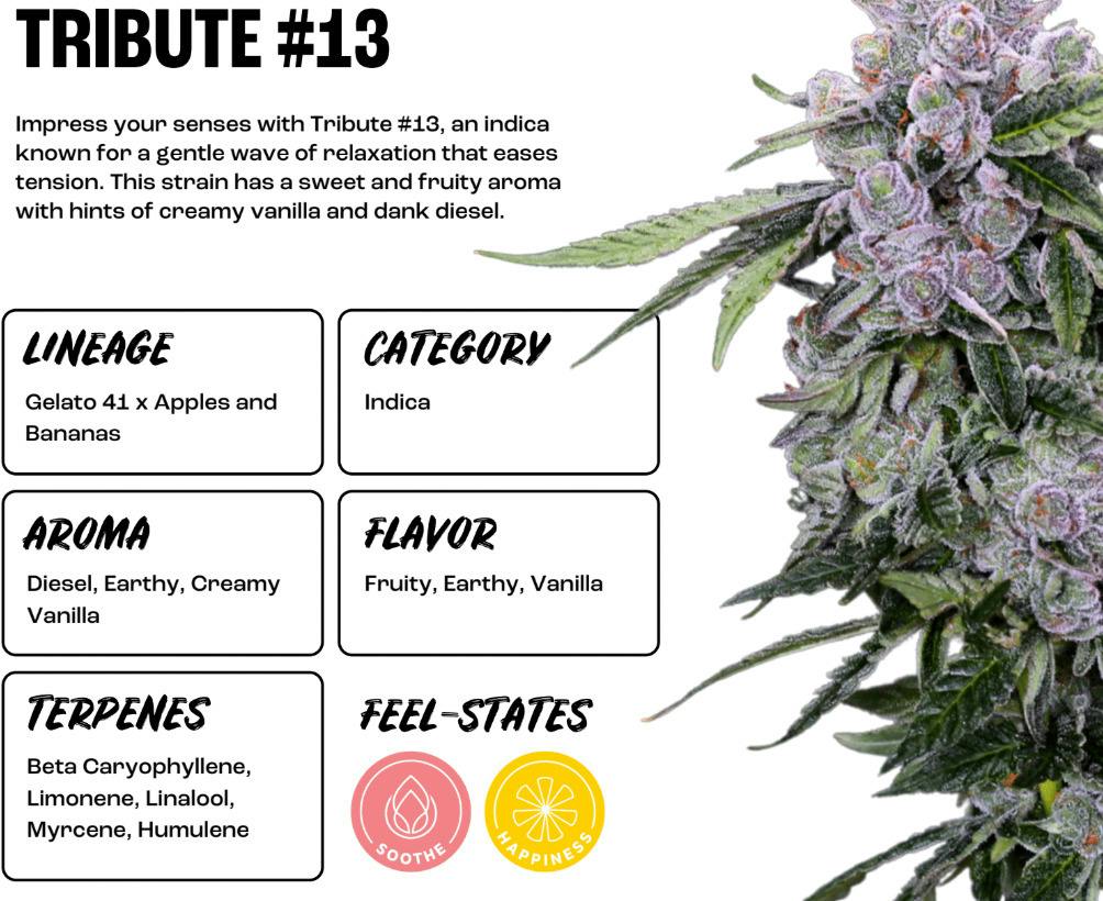 Tribute 13 | Flower