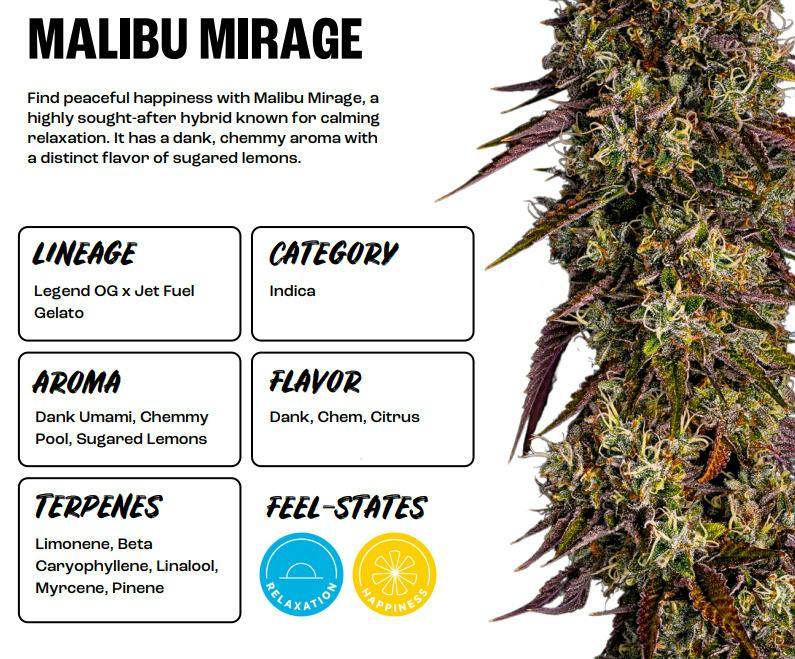 Malibu Mirage | Flower