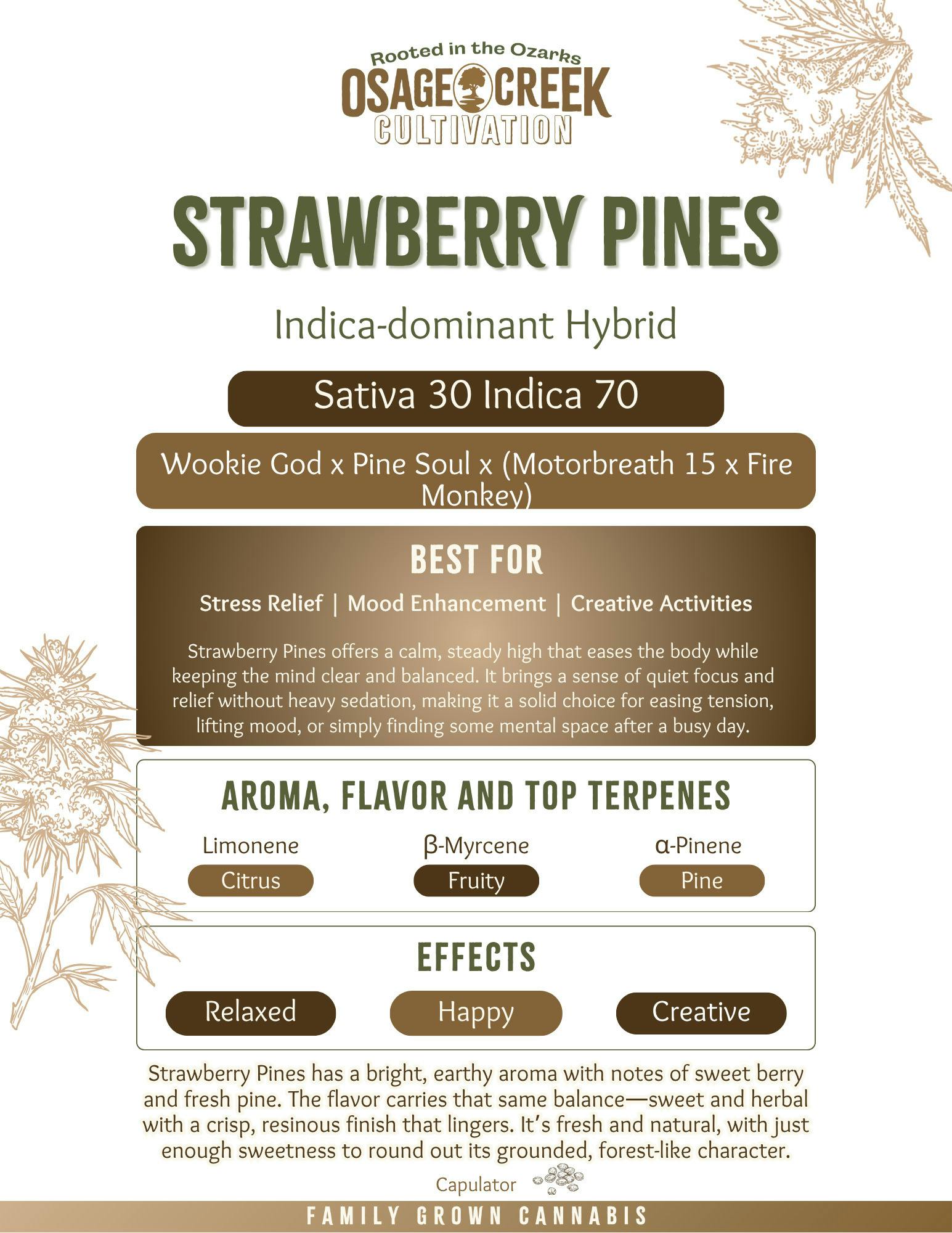Strawberry Pines | Flower