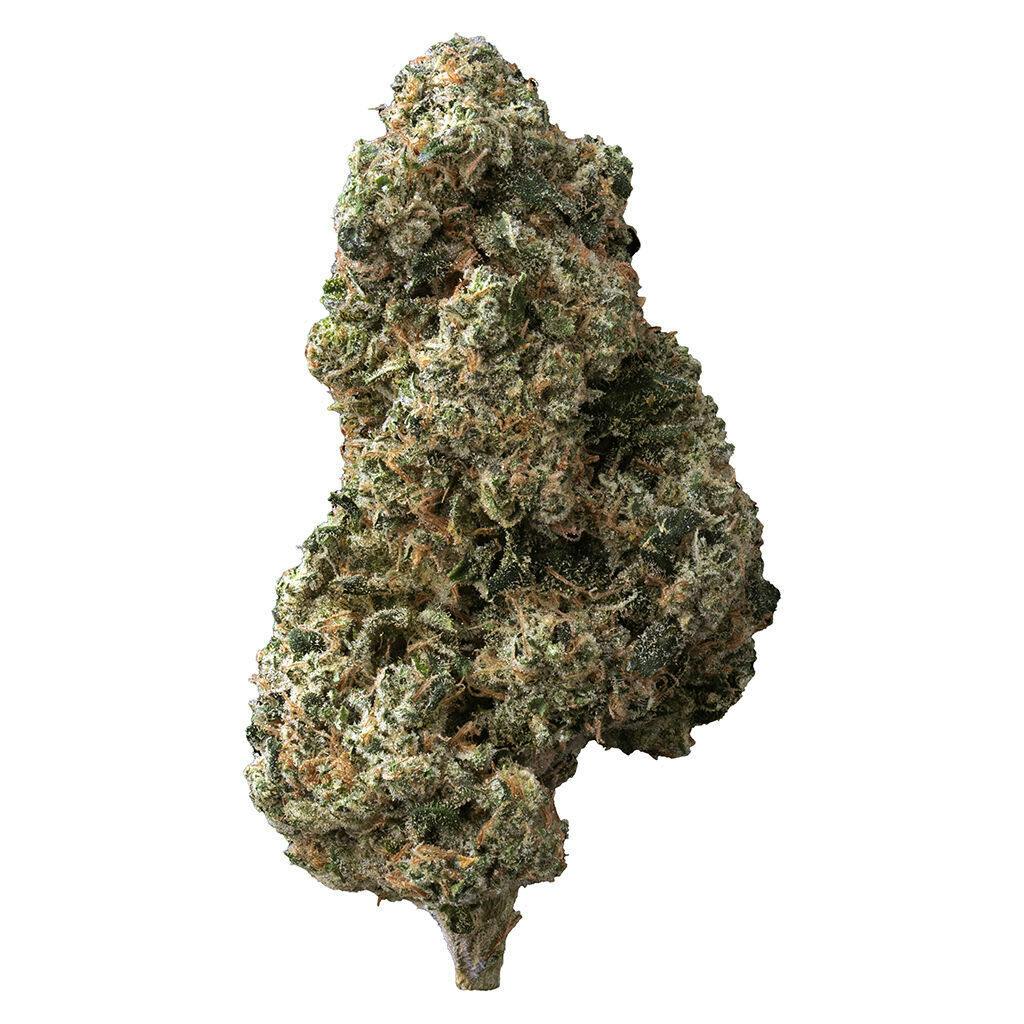 The Loud Plug | Sticky Buns Craft Flower | 28g
