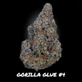 Gorilla Glue #4 - 14g Demboyz Prepackaged Flower