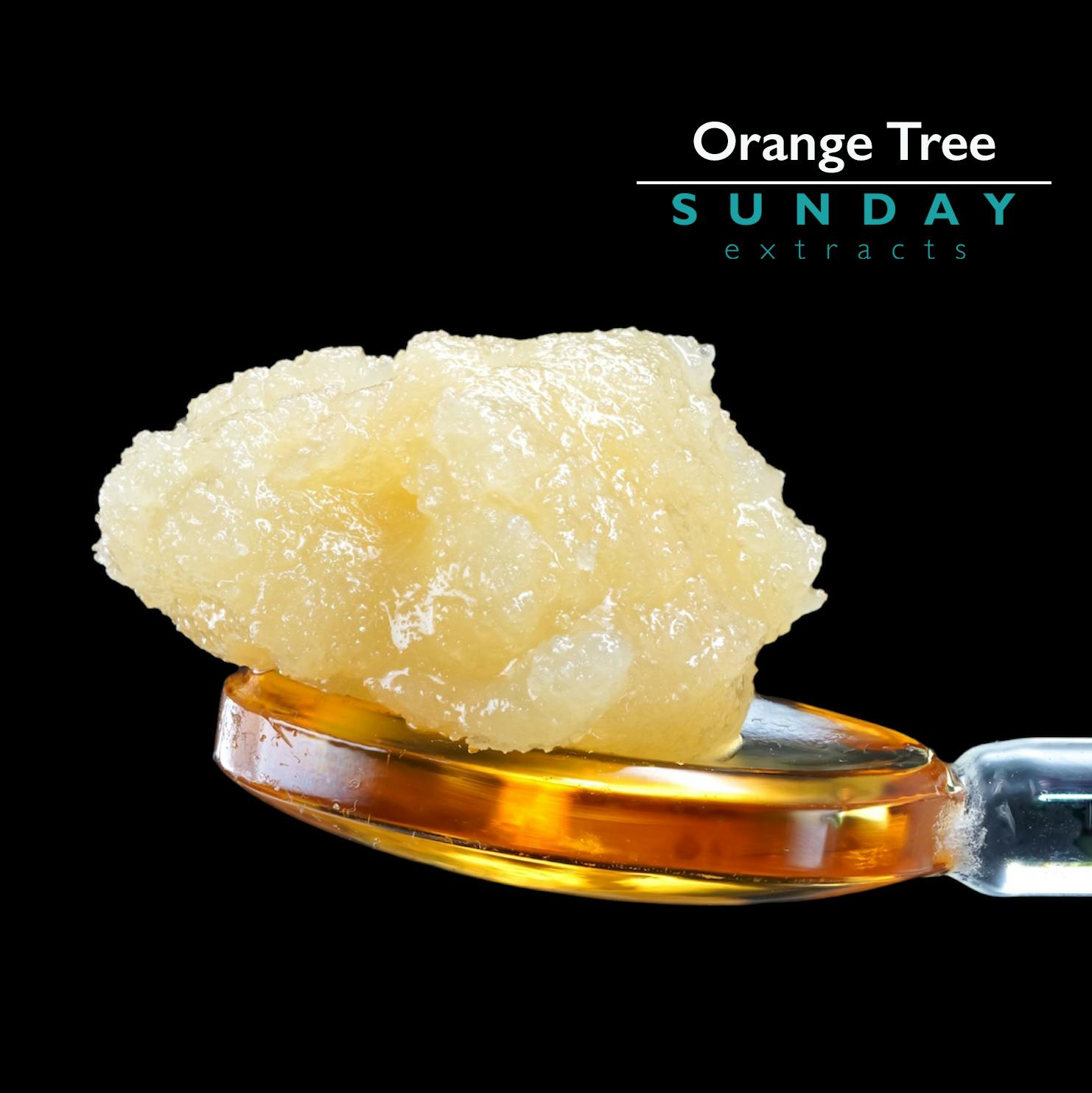 Fruity Cheri - 1g Sunday Concentrate