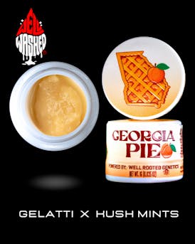 Georgia Pie - 1g Well Washed Live Rosin