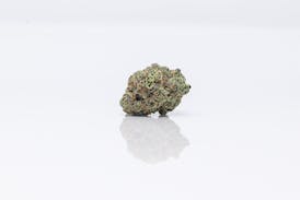 Cookies And Chem | Flower