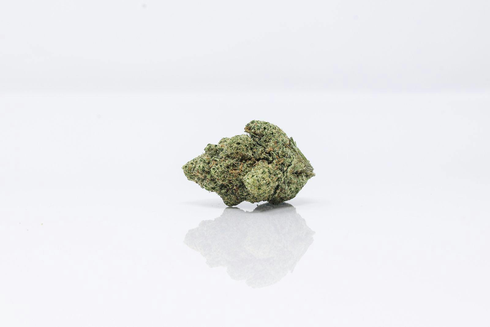 Sumo Grande | Flower