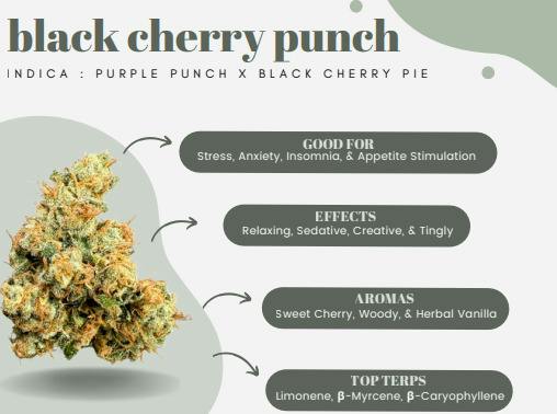 Black Cherry Punch | Popcorn cannabis product