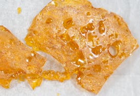 Mimosa (S/H) - 1g Shatter - Concentrate Supply Co.