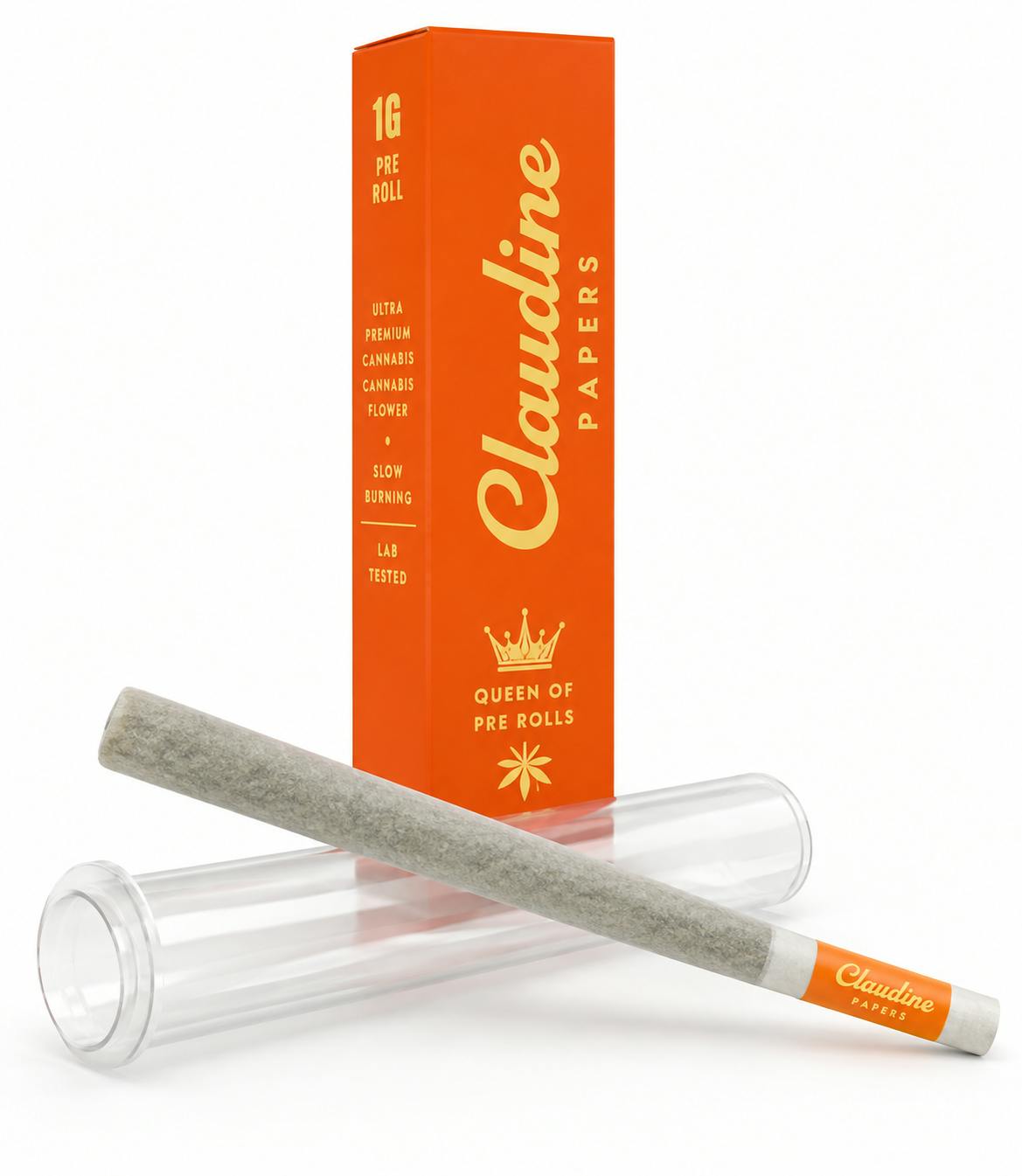 Claudine Sun Cake x Mimosa Bubble