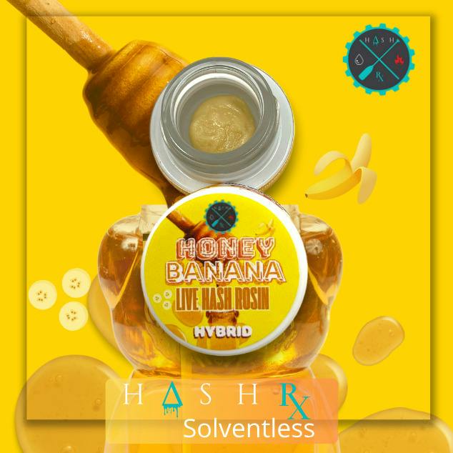 Hash Rx GMO Live Hash Rosin