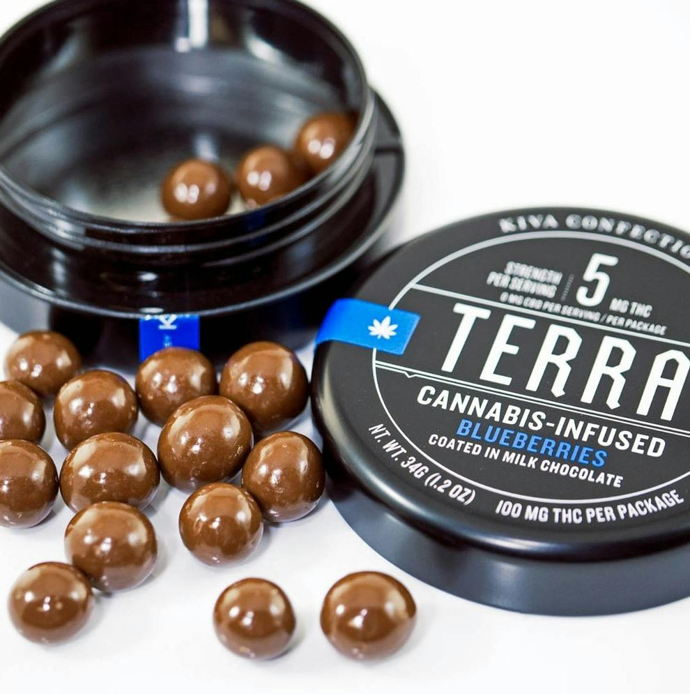 Terra Milk Chocolate Blueberry Bites