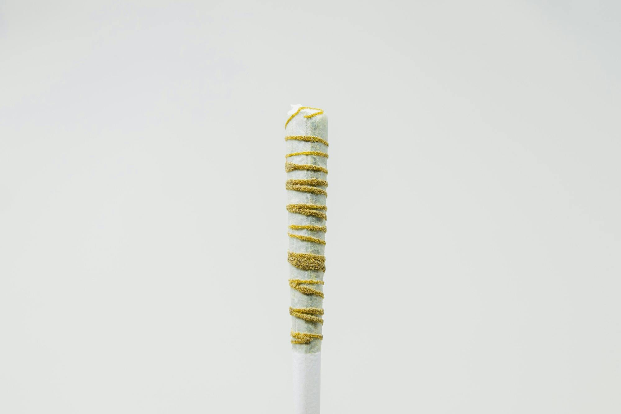 SAP Xtrax Ghost STIX