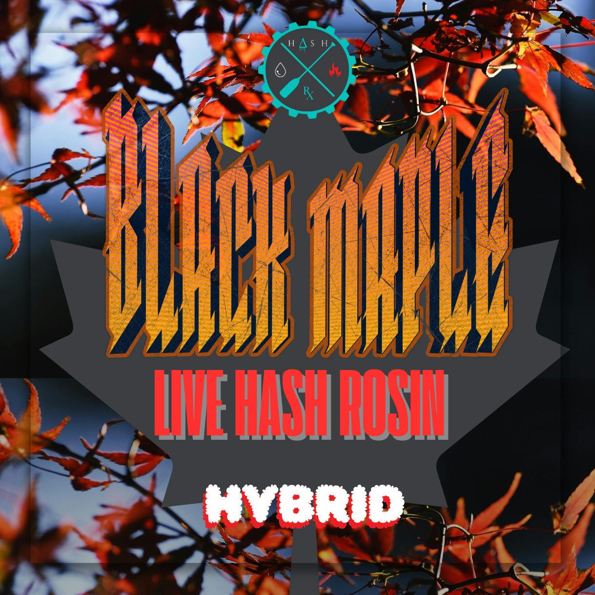 Hash Rx Black Maple Live Hash Rosin