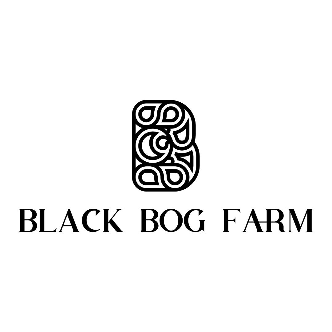 Space Queen (Indoor)