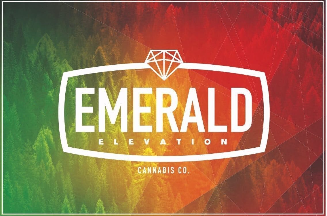 Dark Chocolate 300MG Bar