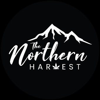 Bananaconda (Indoor)