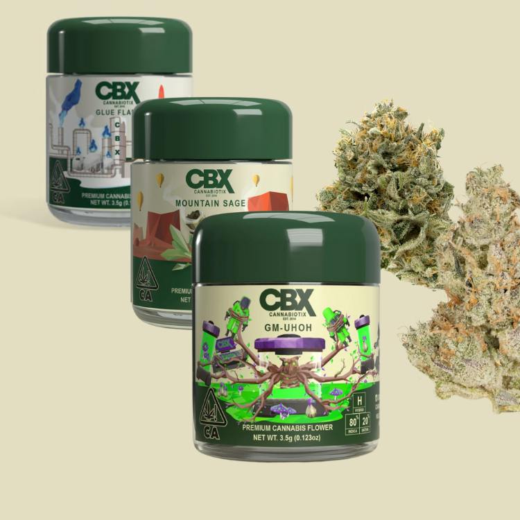 CBX: ZAALANDER HYBRID 3.5G