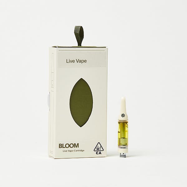 BLOOM: Citrus Punch