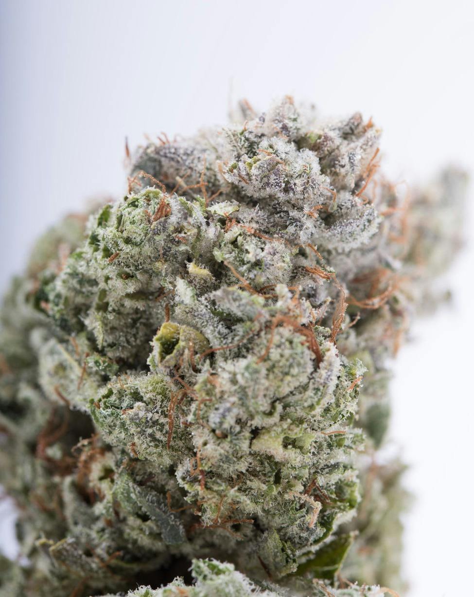 GG #4 Deli Flower