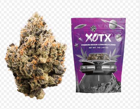 Clone Goddess: Xotx Bubble Gum Runtz
