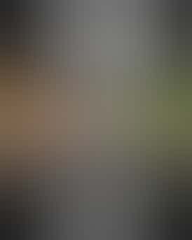 Ice Cream Cake - 1g Old School Cure Rosin