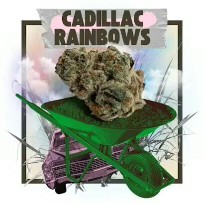 Belushi Farms | Cadillac Rainbow Pre-Pack - 3.5 g