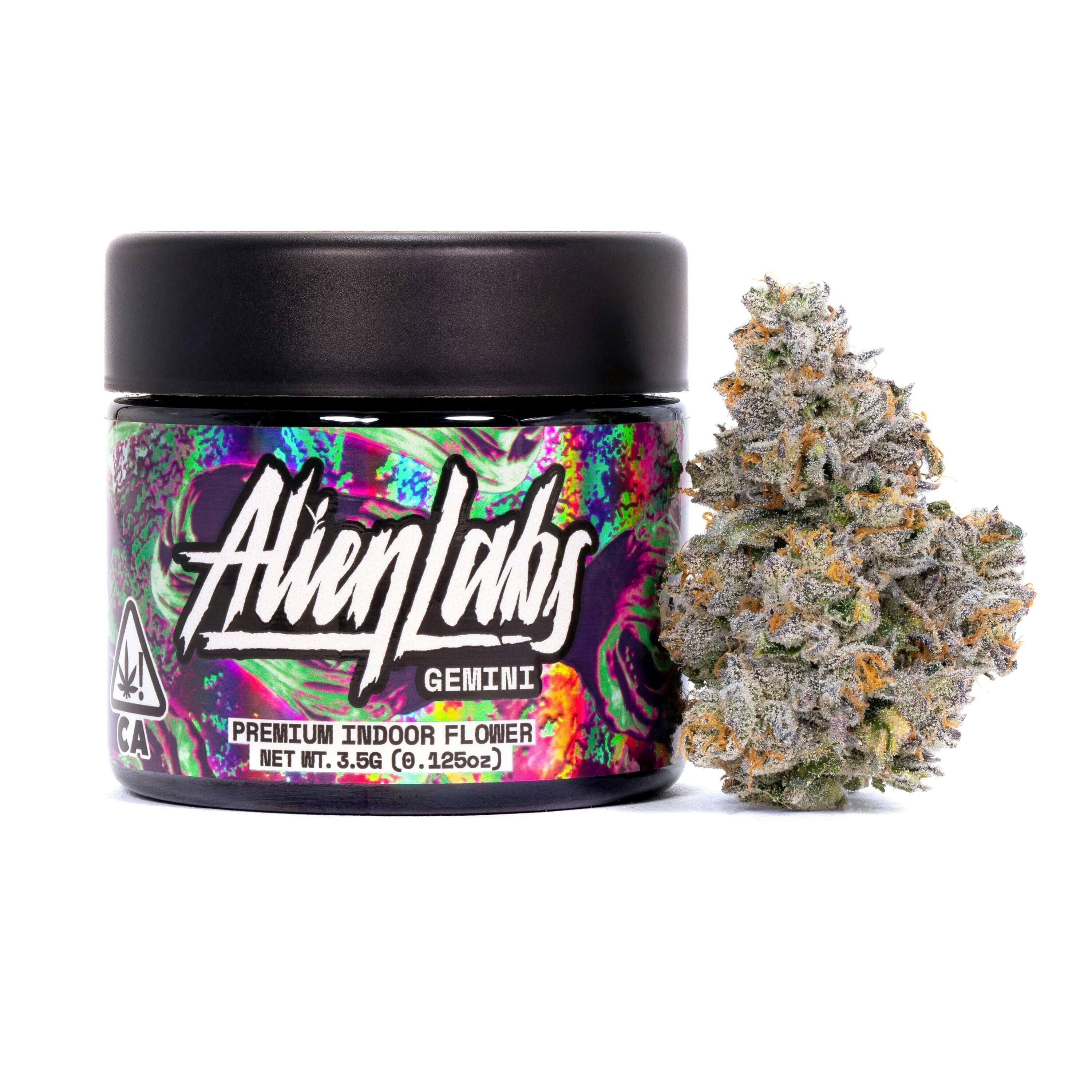 Gemini: Gemini 3.5G Premium Flower